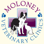 Moloney Vets logo