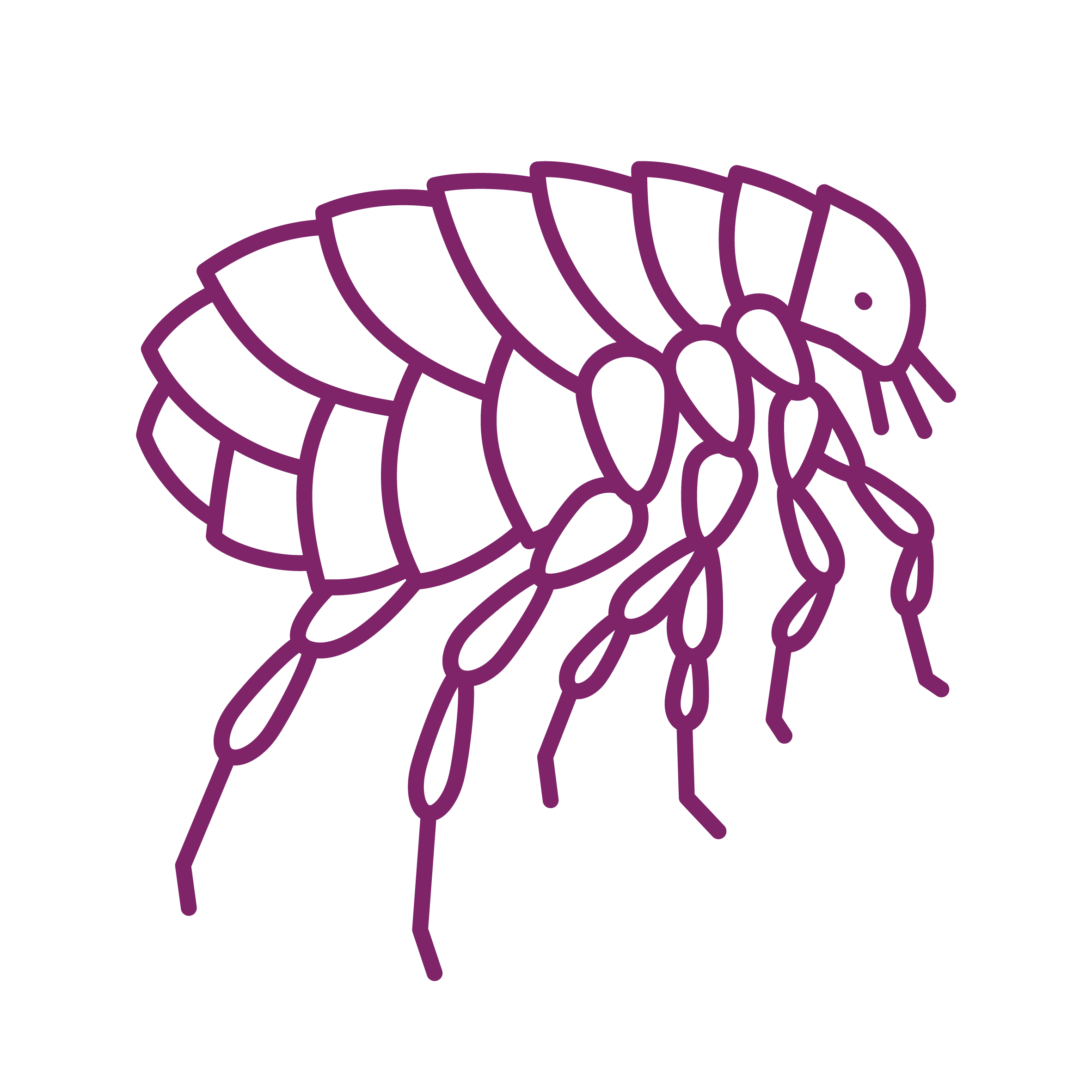 Flea, tick and worm treatment