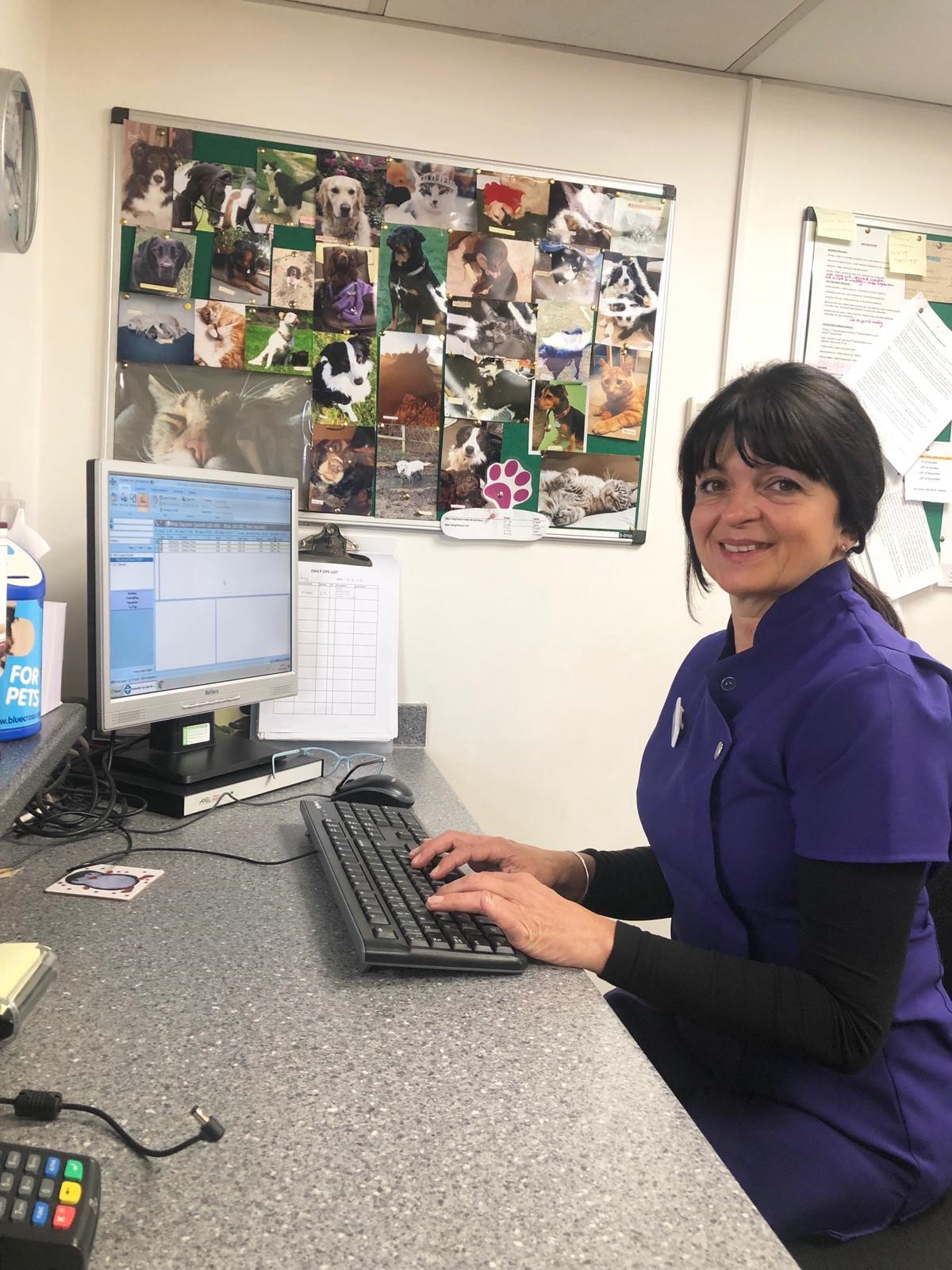A woman in a purple uniform sits at a desk, typing on a keyboard. Behind her is a bulletin board with numerous pictures of cats and dogs. A computer monitor displays a screen. Papers and office supplies are visible on the desk.