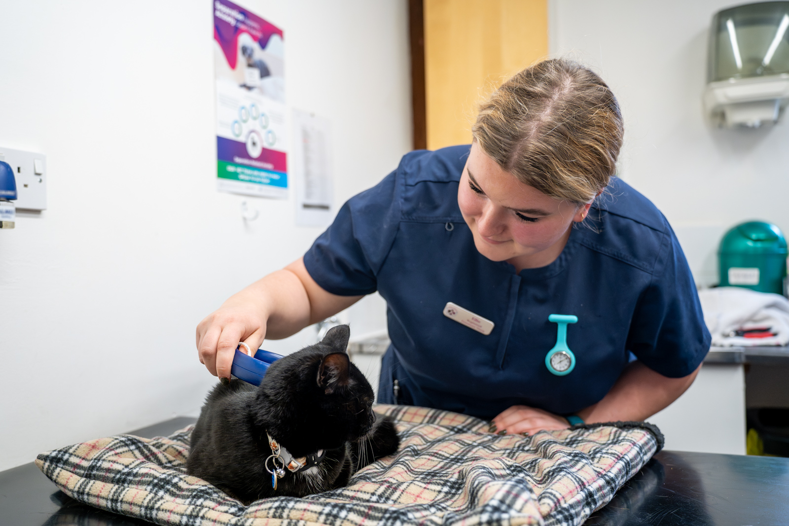A veterinarian in a navy uniform is examining a black cat on a plaid blanket in a clinic. She holds a tool near the cats neck, and the room has medical posters and equipment. The cat looks relaxed.